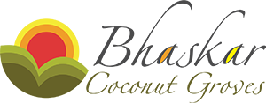 Bhaskar Coconut Grooves